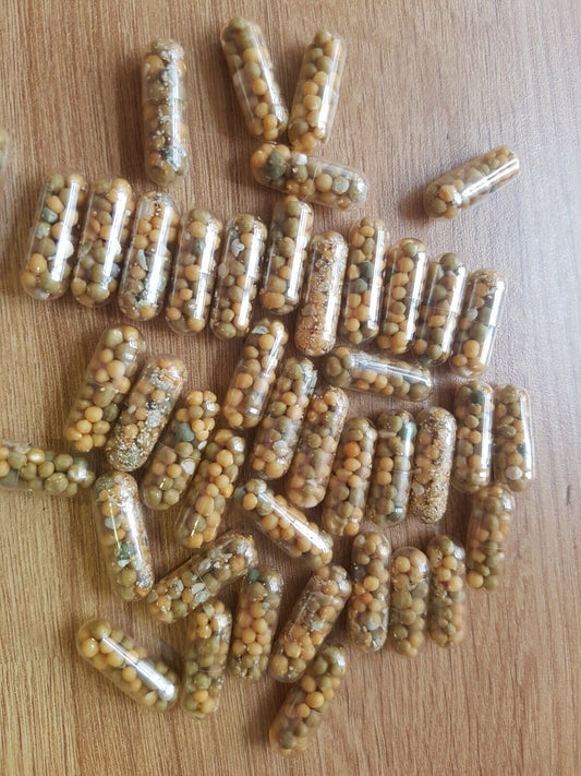 50 x 6-Month Slow Release Plant Food Capsules