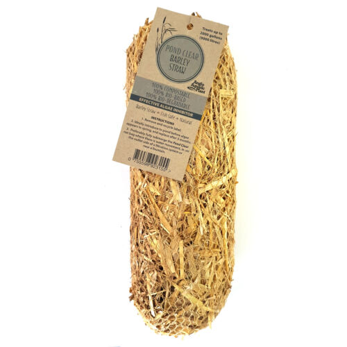 Pond Barley Straw Water Treatment