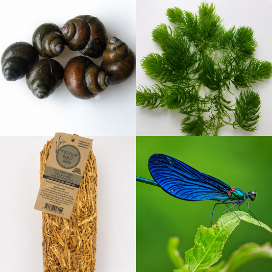 Wildlife Pond Booster Pack