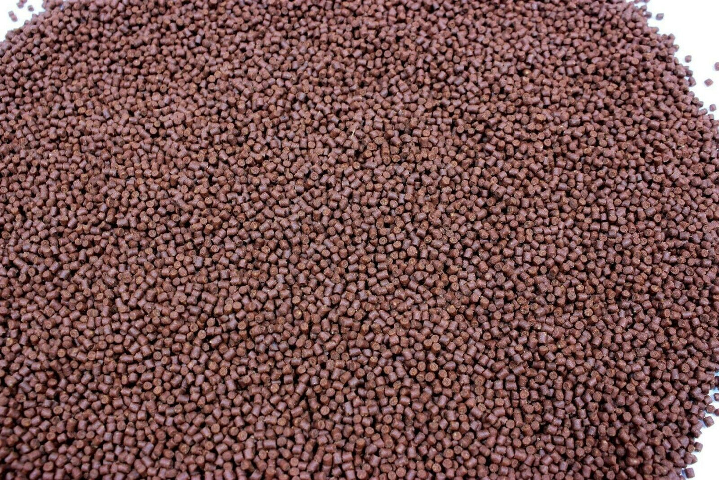 Premium Sinking Catfish Pellets cichlid corys 2mm