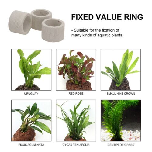 CERAMIC RINGS FOR AQUATIC PLANTS